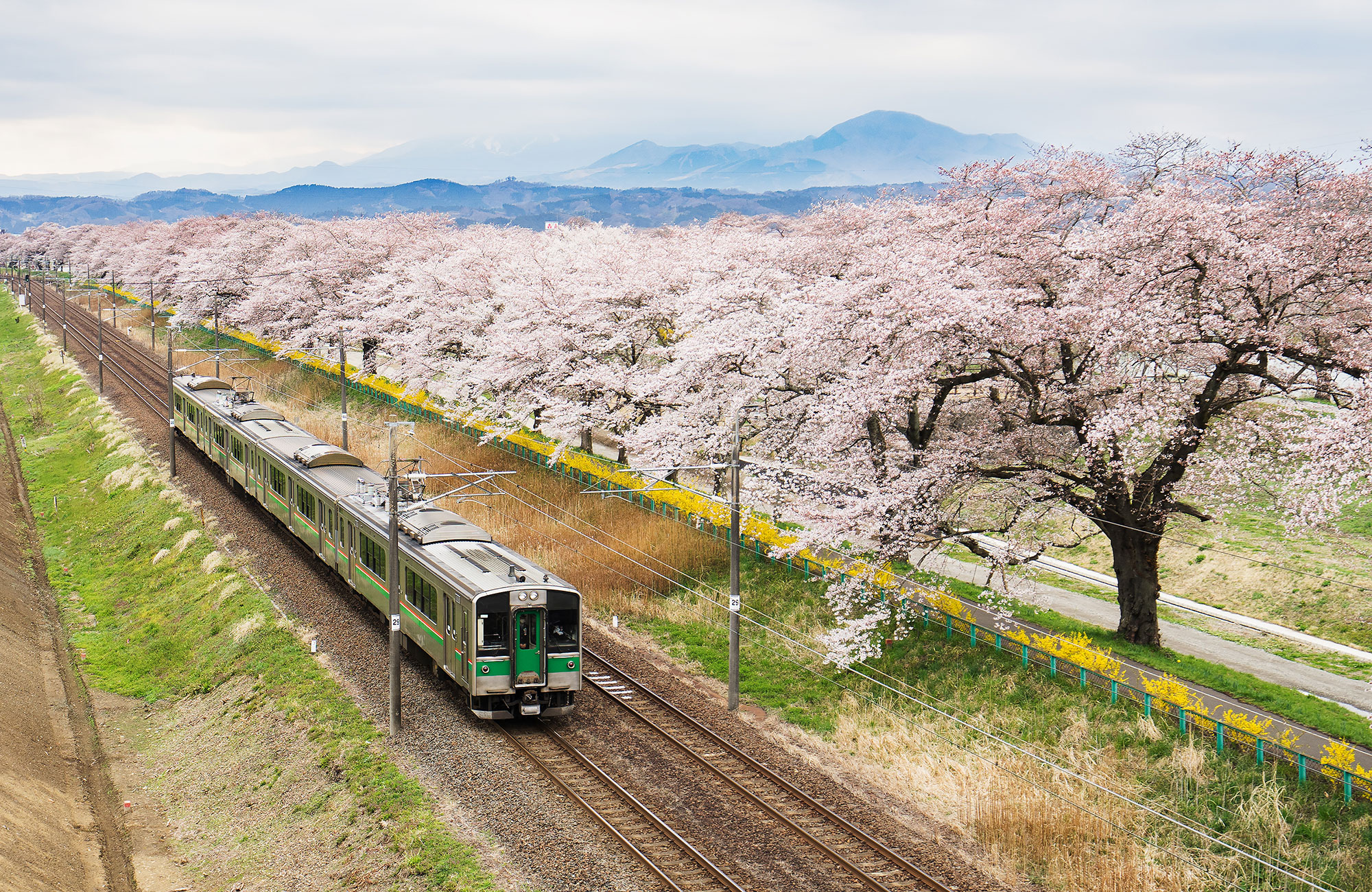 Res med tågpasset Japan Rail Pass i Japan