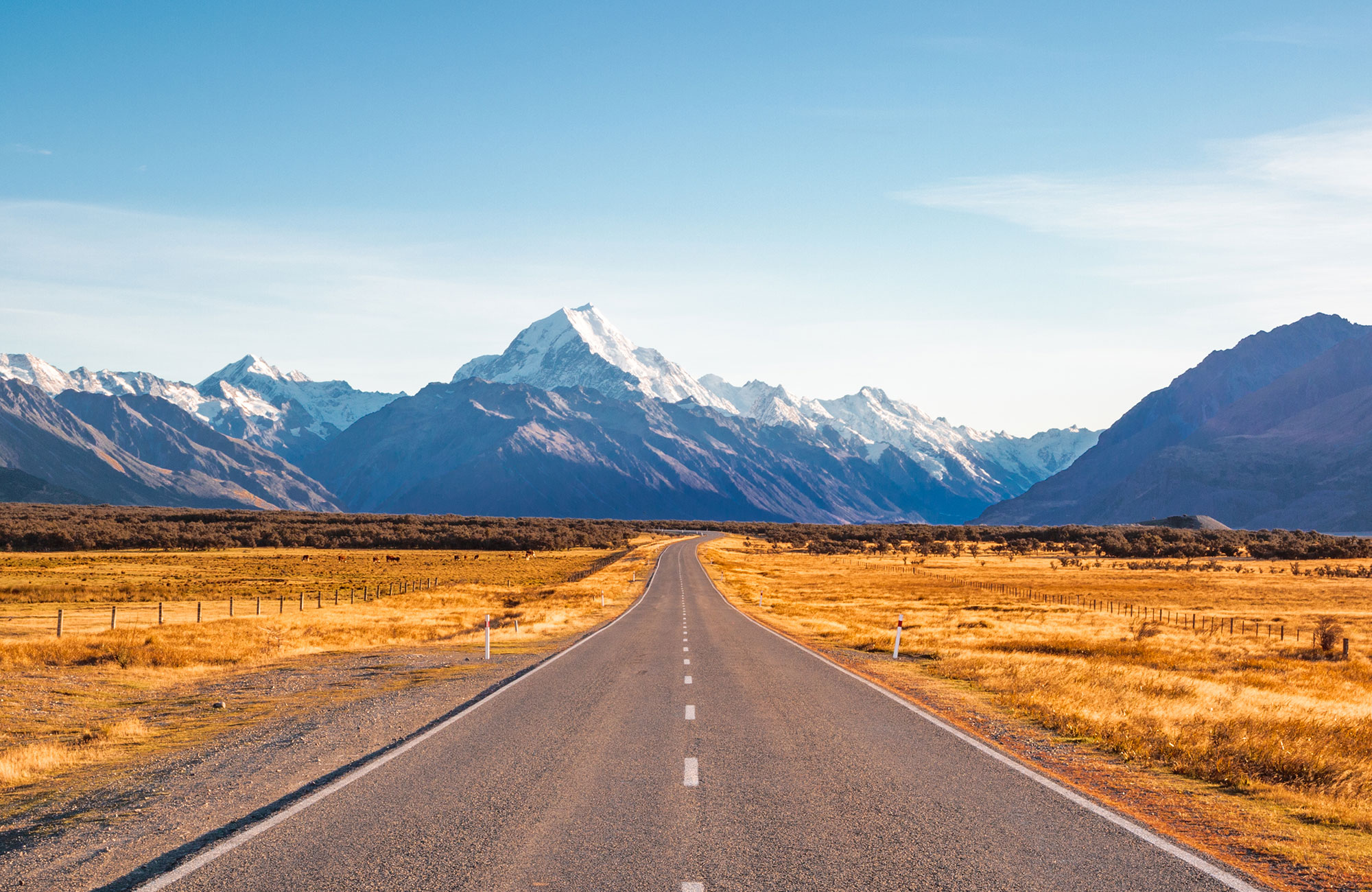 Hyr Chubby campervan från Travellers Autobarn i Nya Zeeland