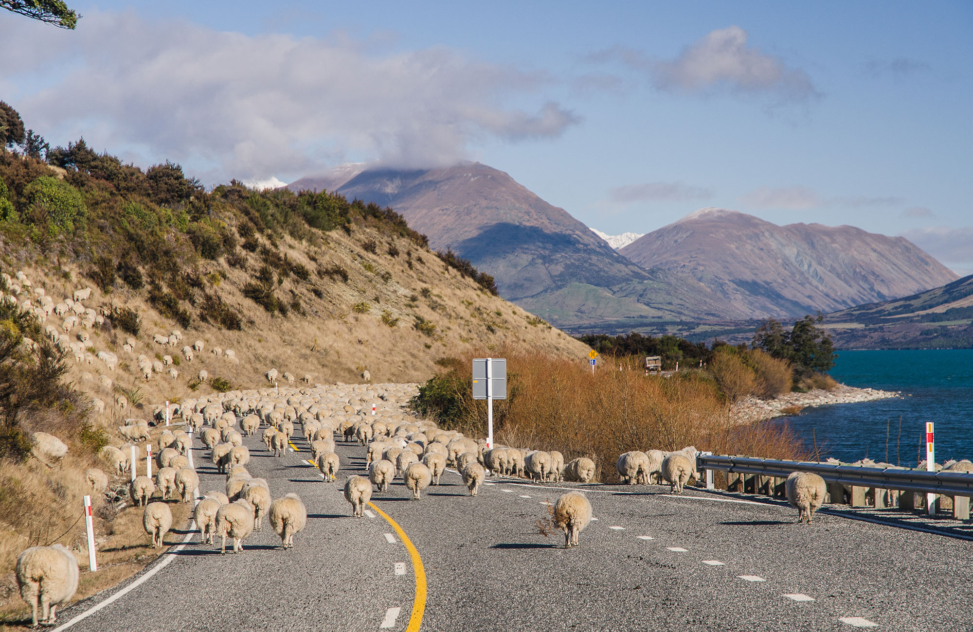 Boka din campervan till Nya Zeeland med KILROY