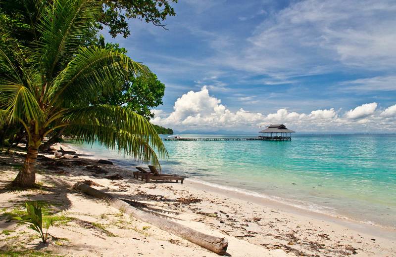 Sandy beach with green palm trees, beach chairs, a bright blue ocean and a bridge withwooden building at the end of it.