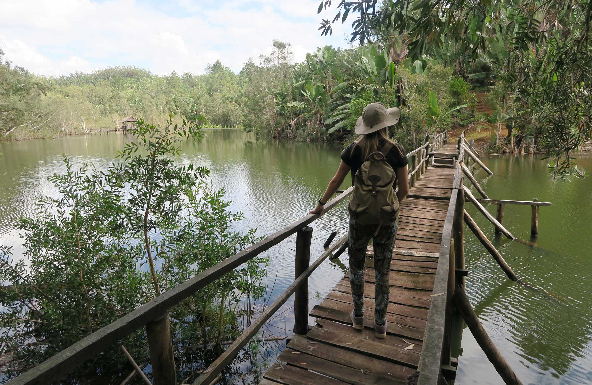 Madagascar Lush Jungle And Green River
