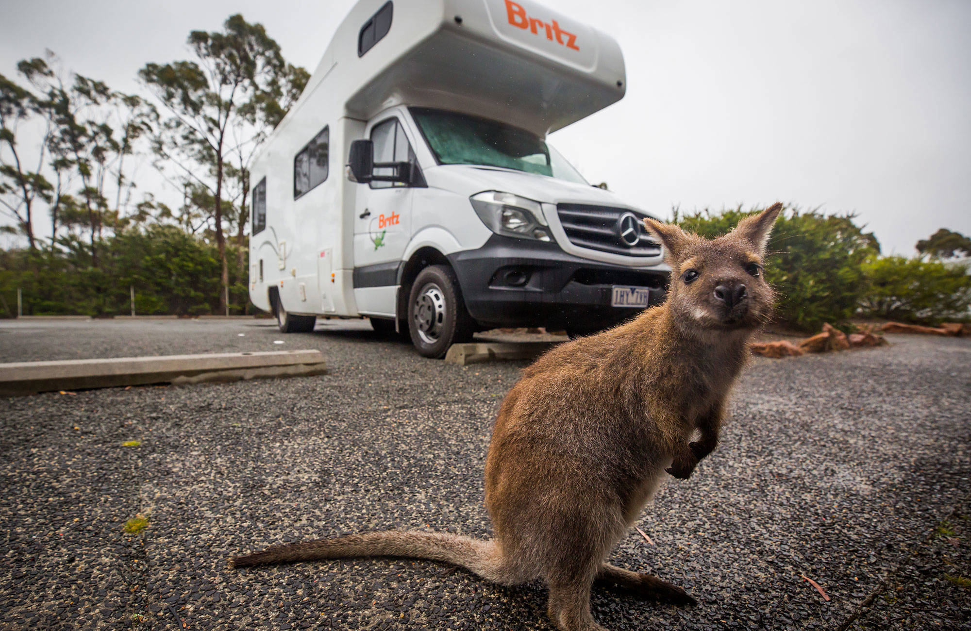Husbilen Frontier i Australien