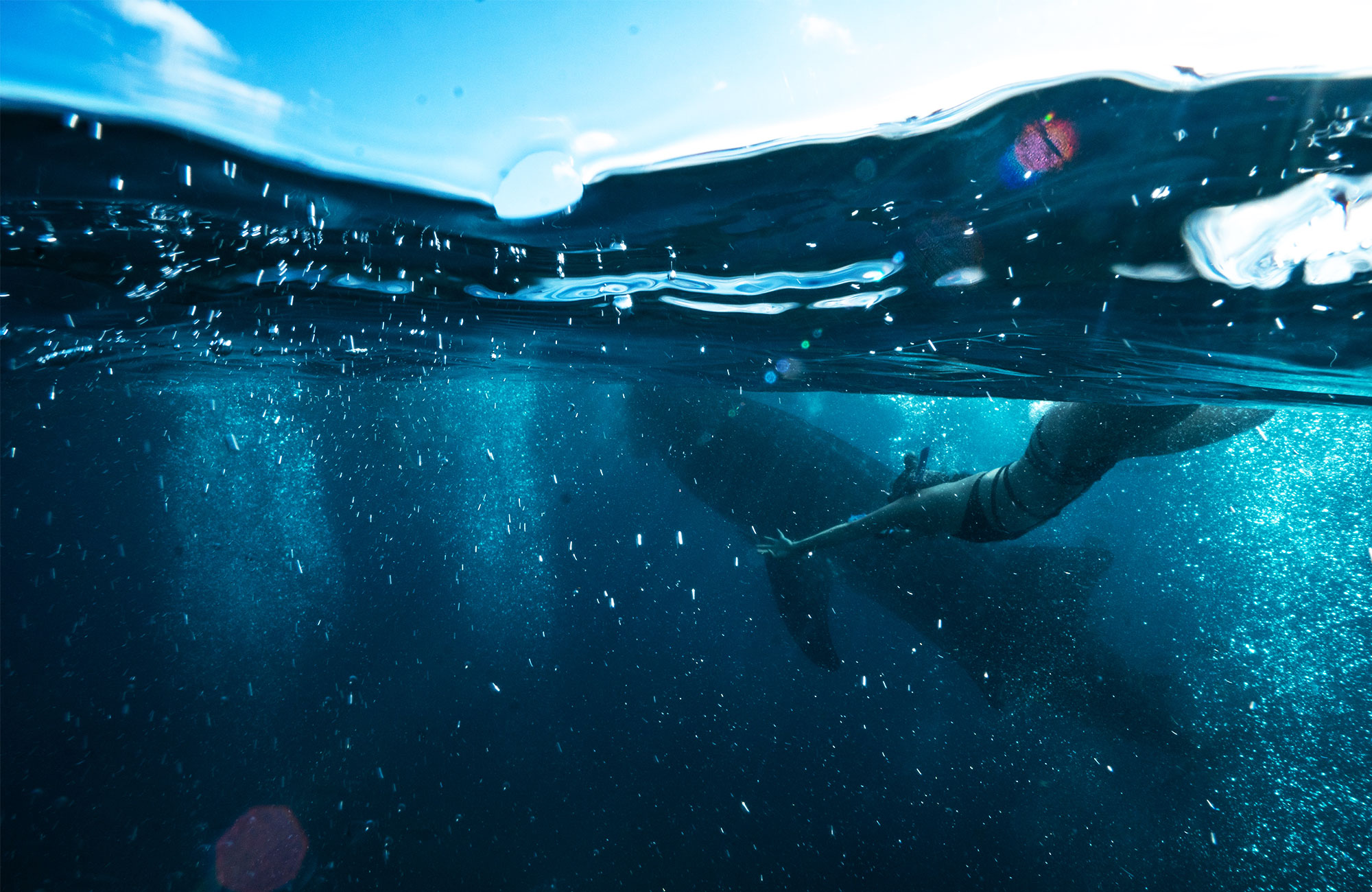 tjej simmar med valhaj i filippinerna