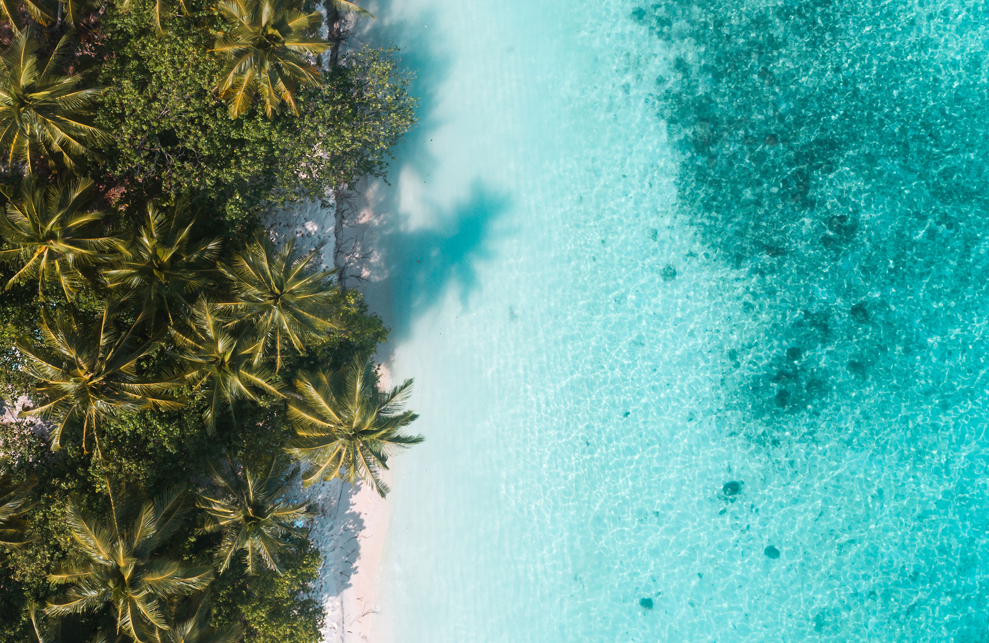 Öluffa på en segelbåt i Maldiverna.