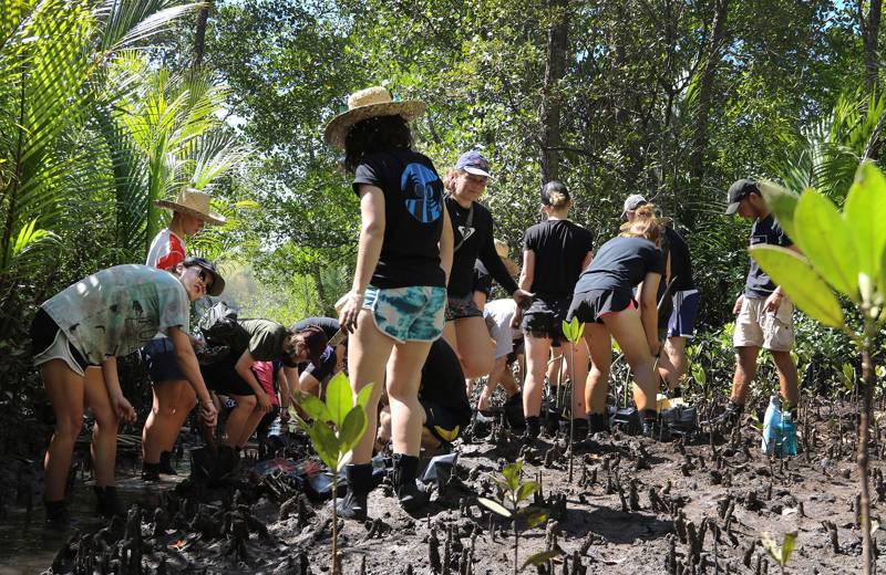 Marine Conservation Philipines Volunteers Working In Mud