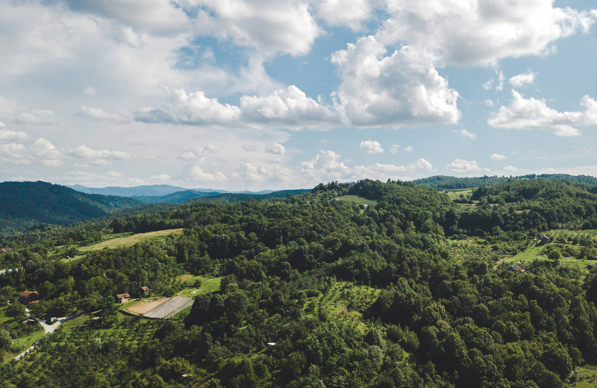 utsikt över berg med träd som kan upplevas under din resa till Bosnien-Hercegovina