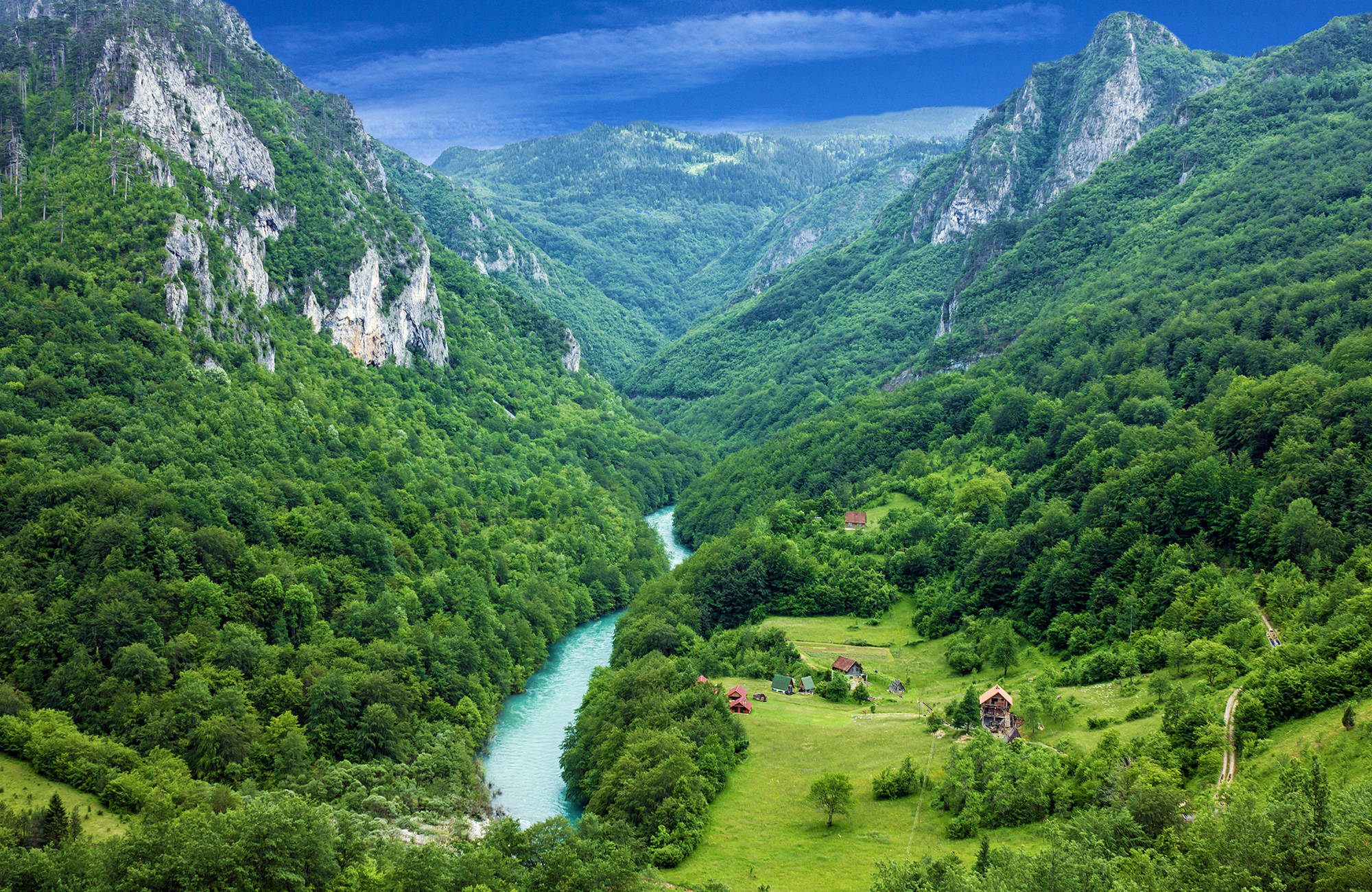 floden Tara vid en grönskande skog under en resa till montenegro