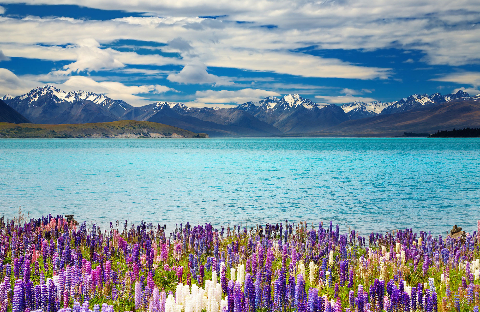 New Zealand South Island Lake Tekapo