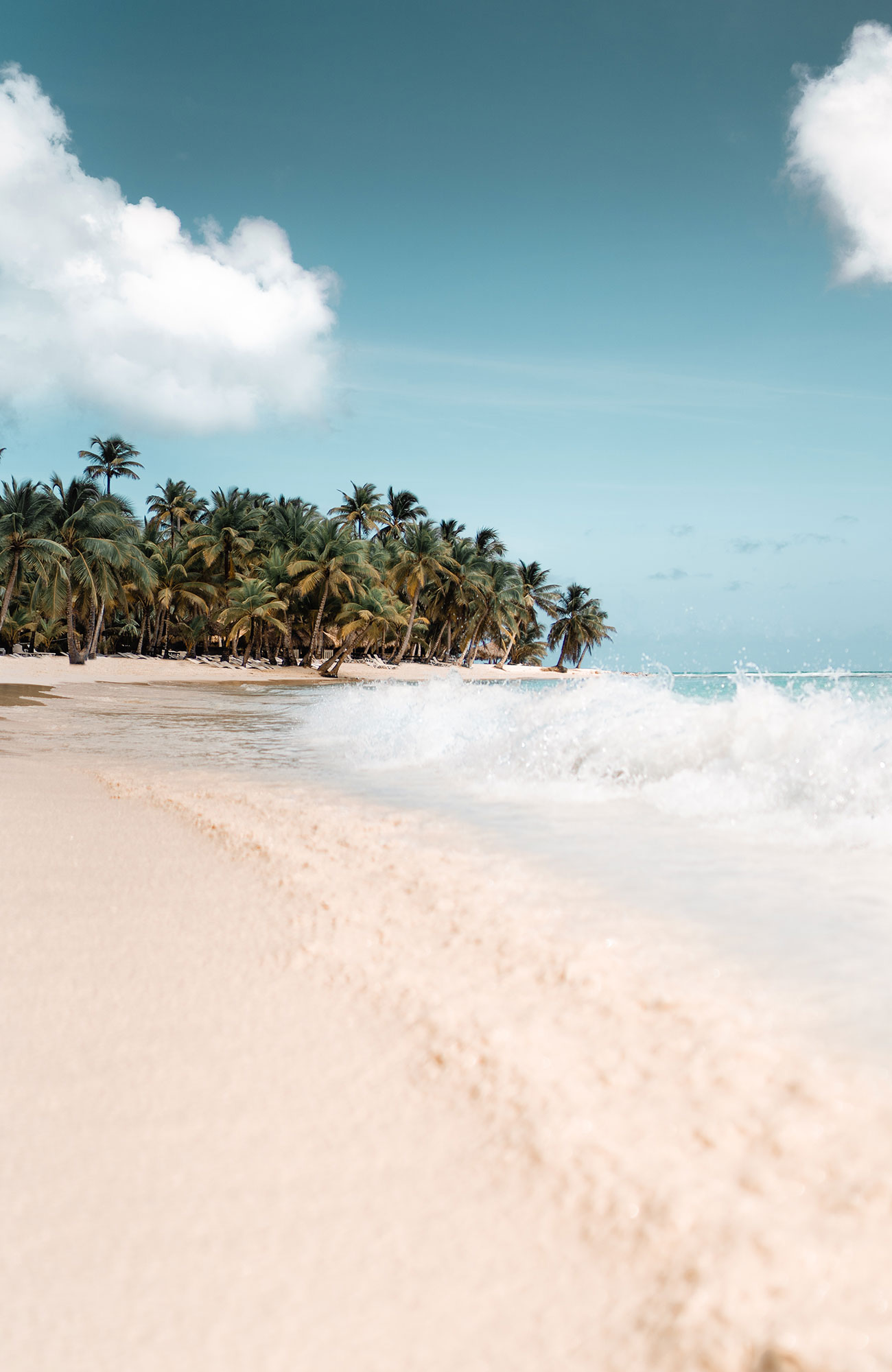 Resor till Dominikanska republiken