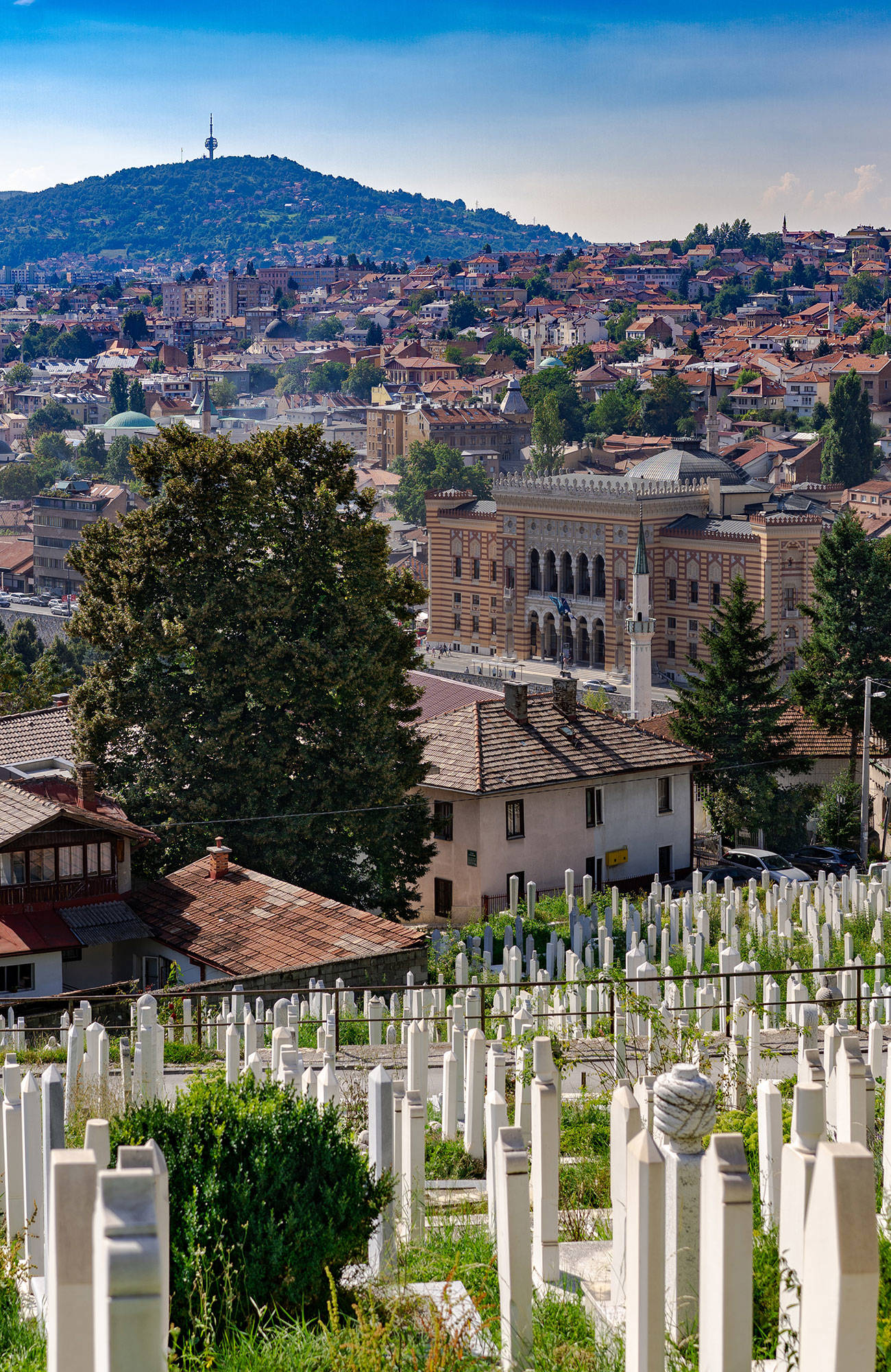 utsikt över kyrkogården och staden i bakgrunden under en resa till sarajevo