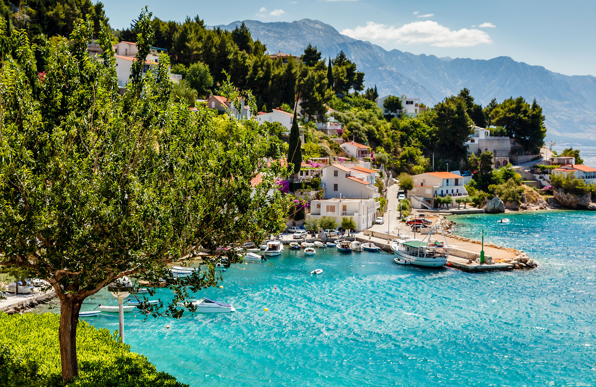 fyra personer surfar på portugals västkust