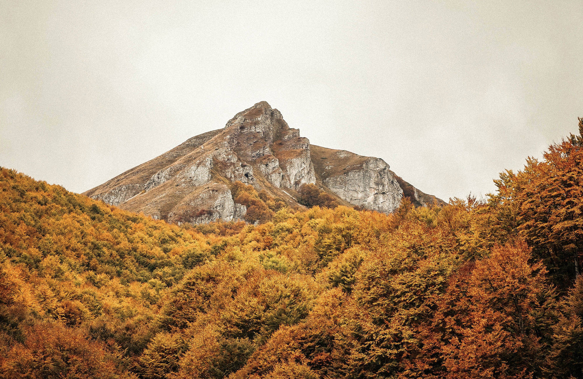 bergskedja och skog hösten under en resa till Nordmakedonien