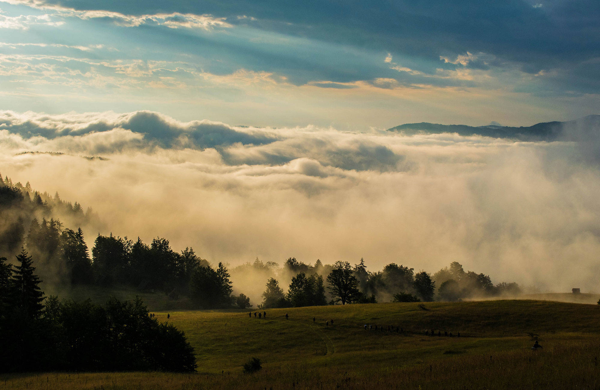 morgonsol över skogar i serbien
