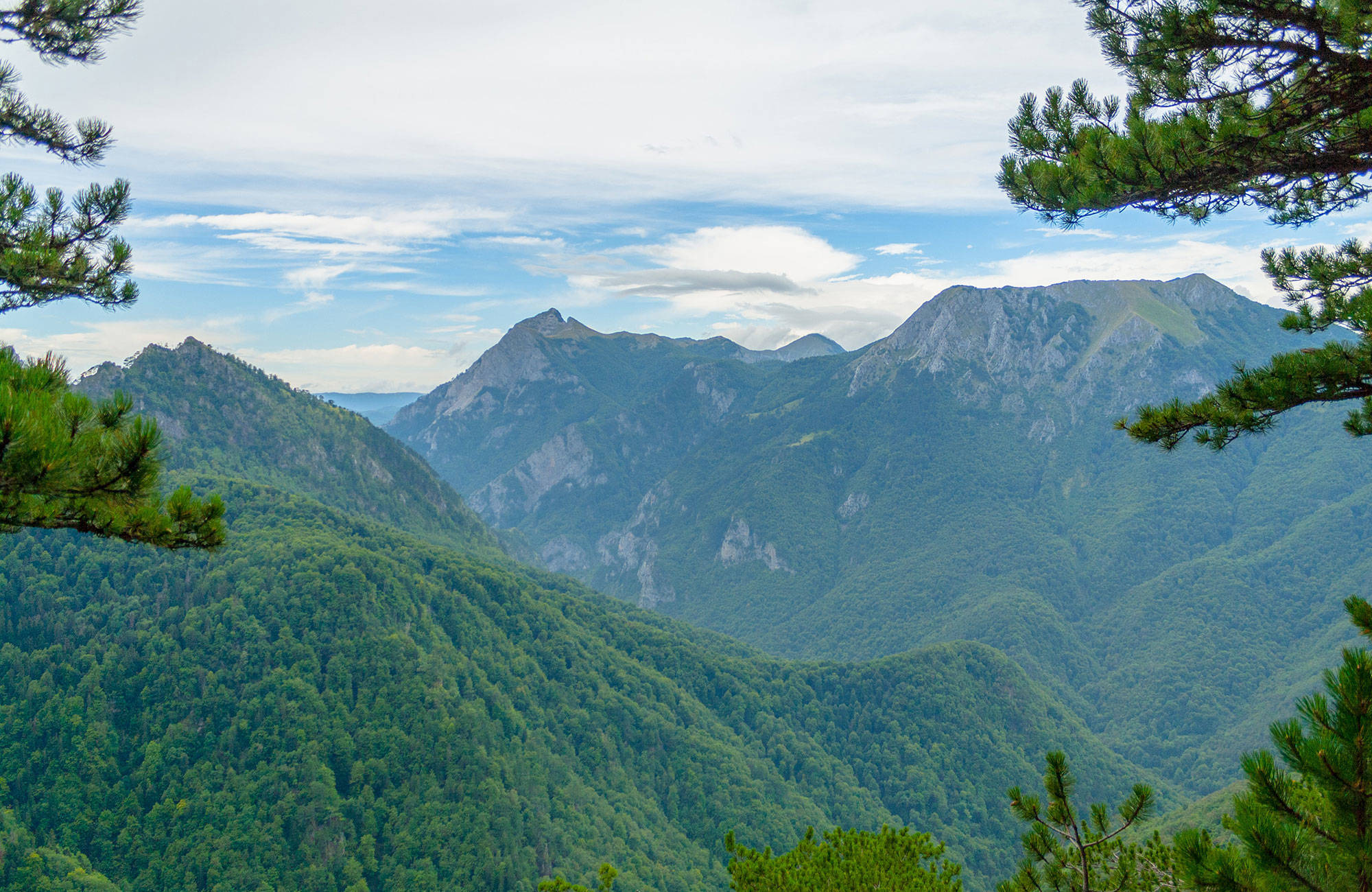 stora gröna berg i Bosnien-Hercegovina