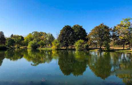 en park och en damm med spegelblankt vatten under en resa till skopje