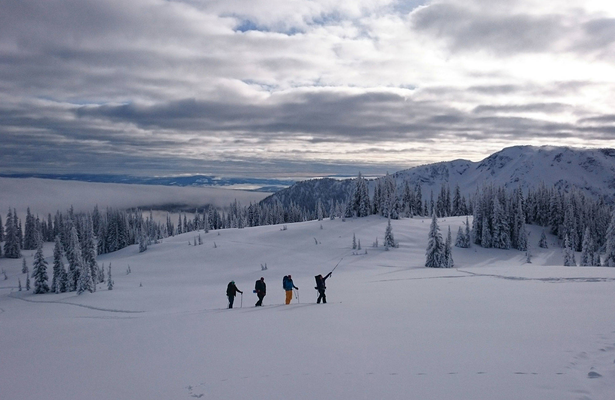 åk skidor i snöklädda berg under studierna i kanada