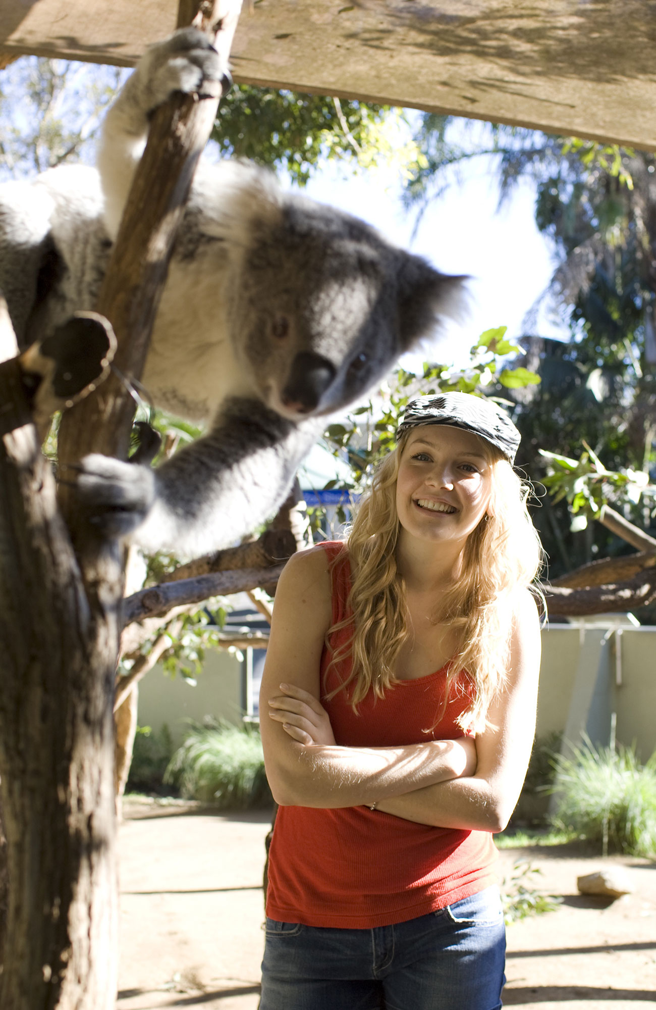 en koala en glad kvinnlig student vid University of Technology Sydney