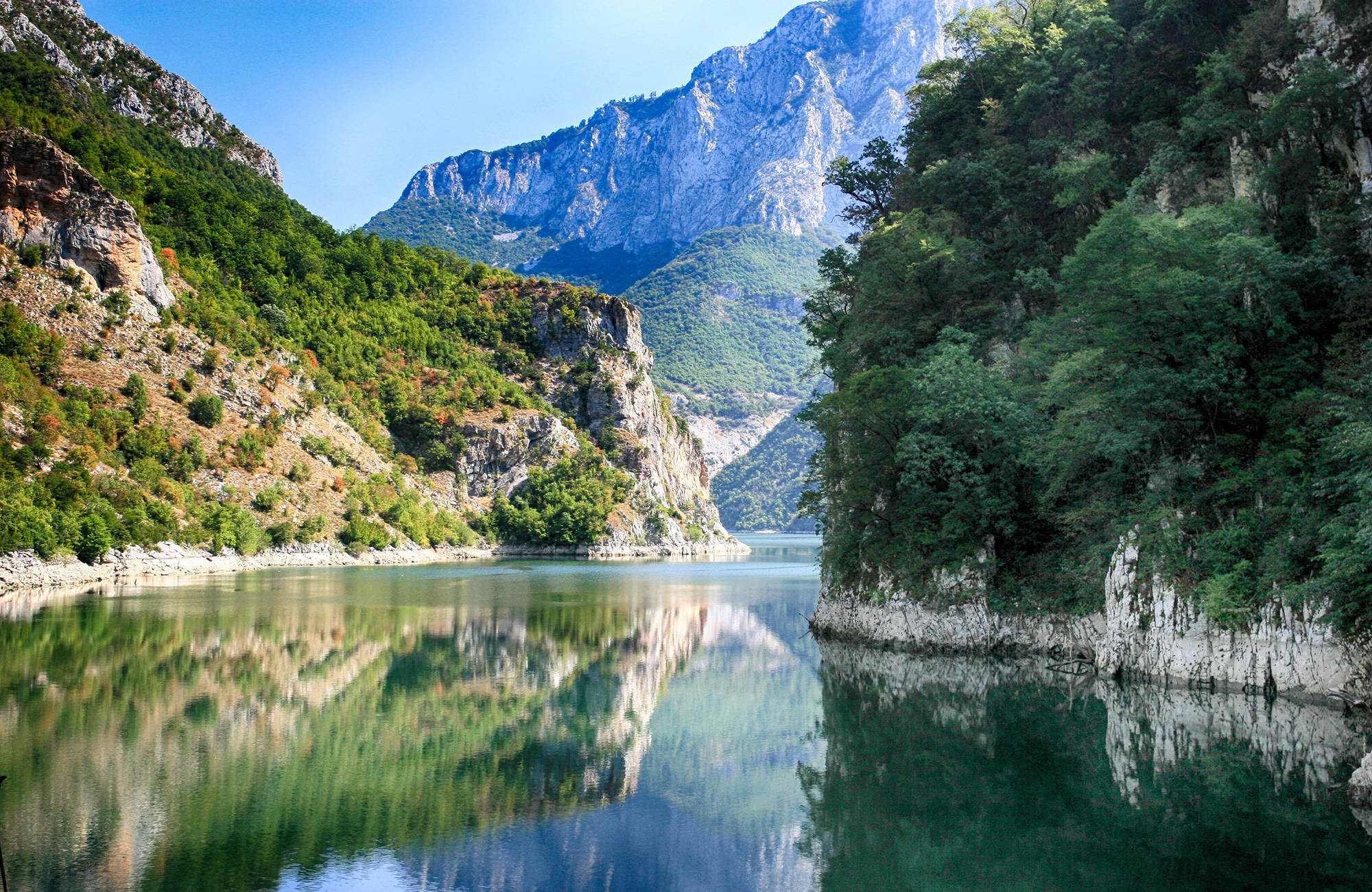 spegelblankt vatten vid Shkodërsjön i Albanien
