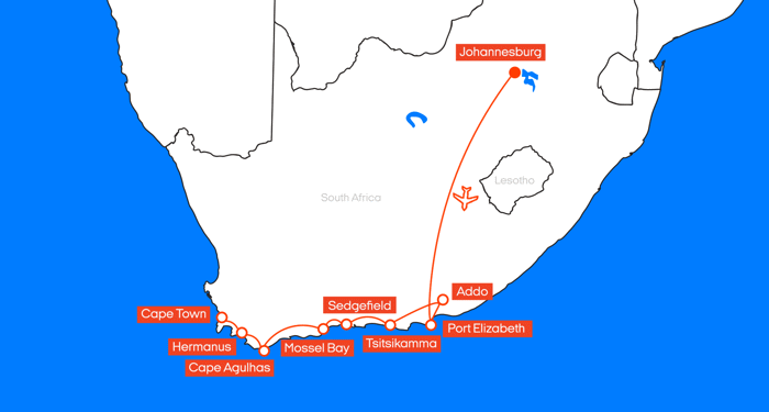 Scandi South Africa V2