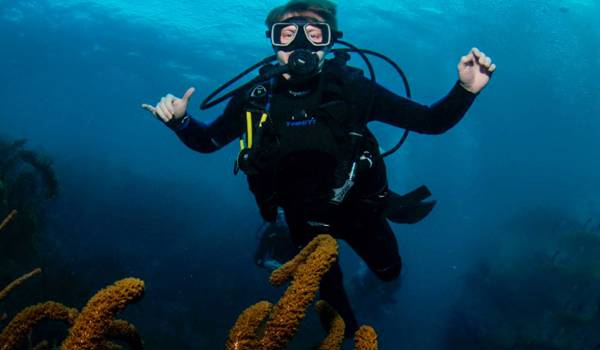 Scuba Diving In Colombia