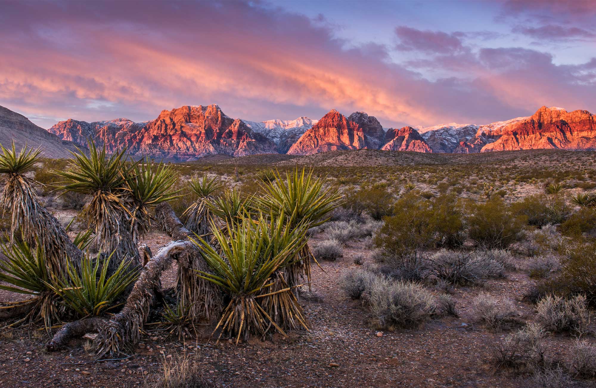 nevada desert