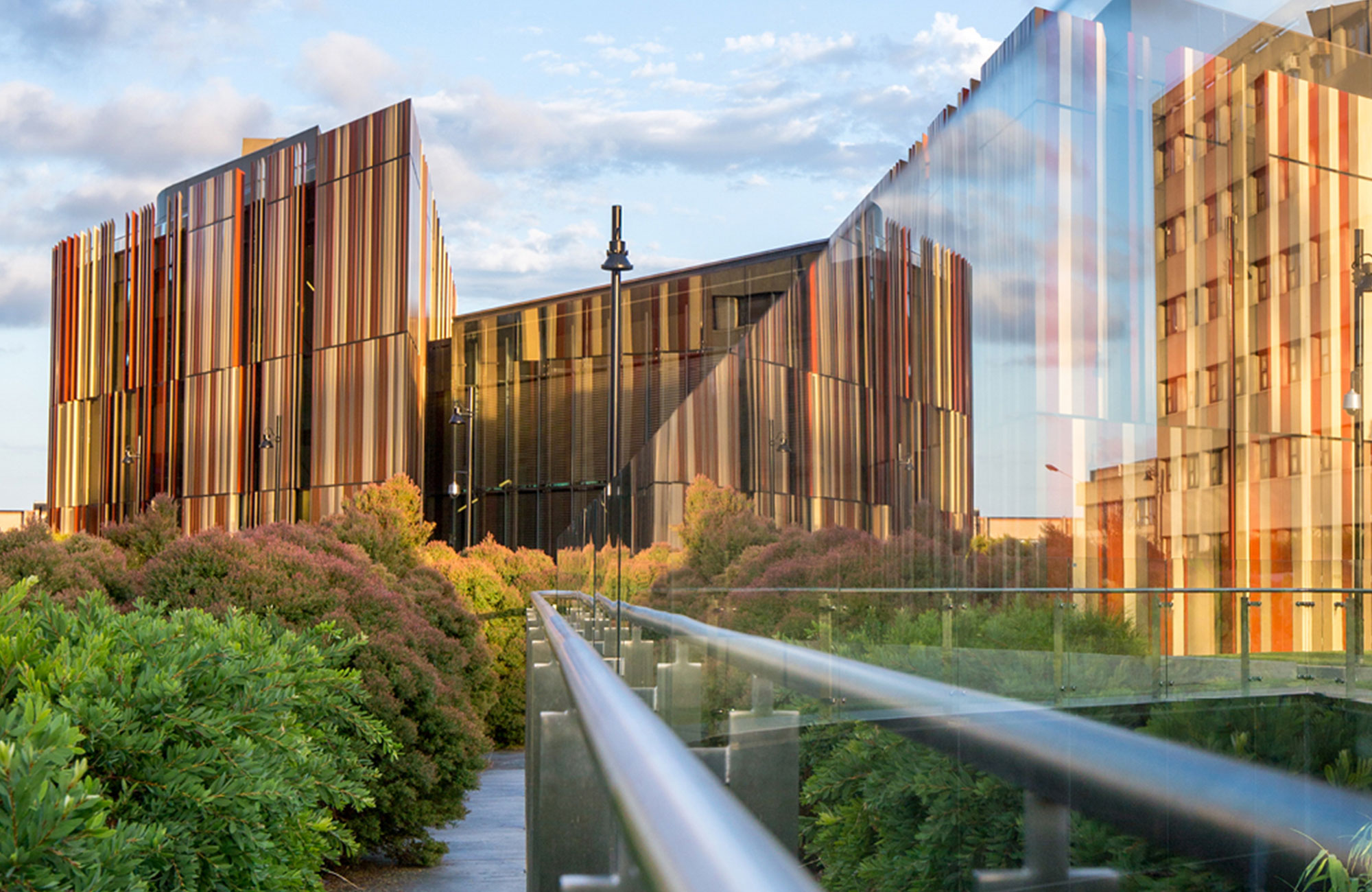 Umgås i parkerna med vänner utanför Macquarie University
