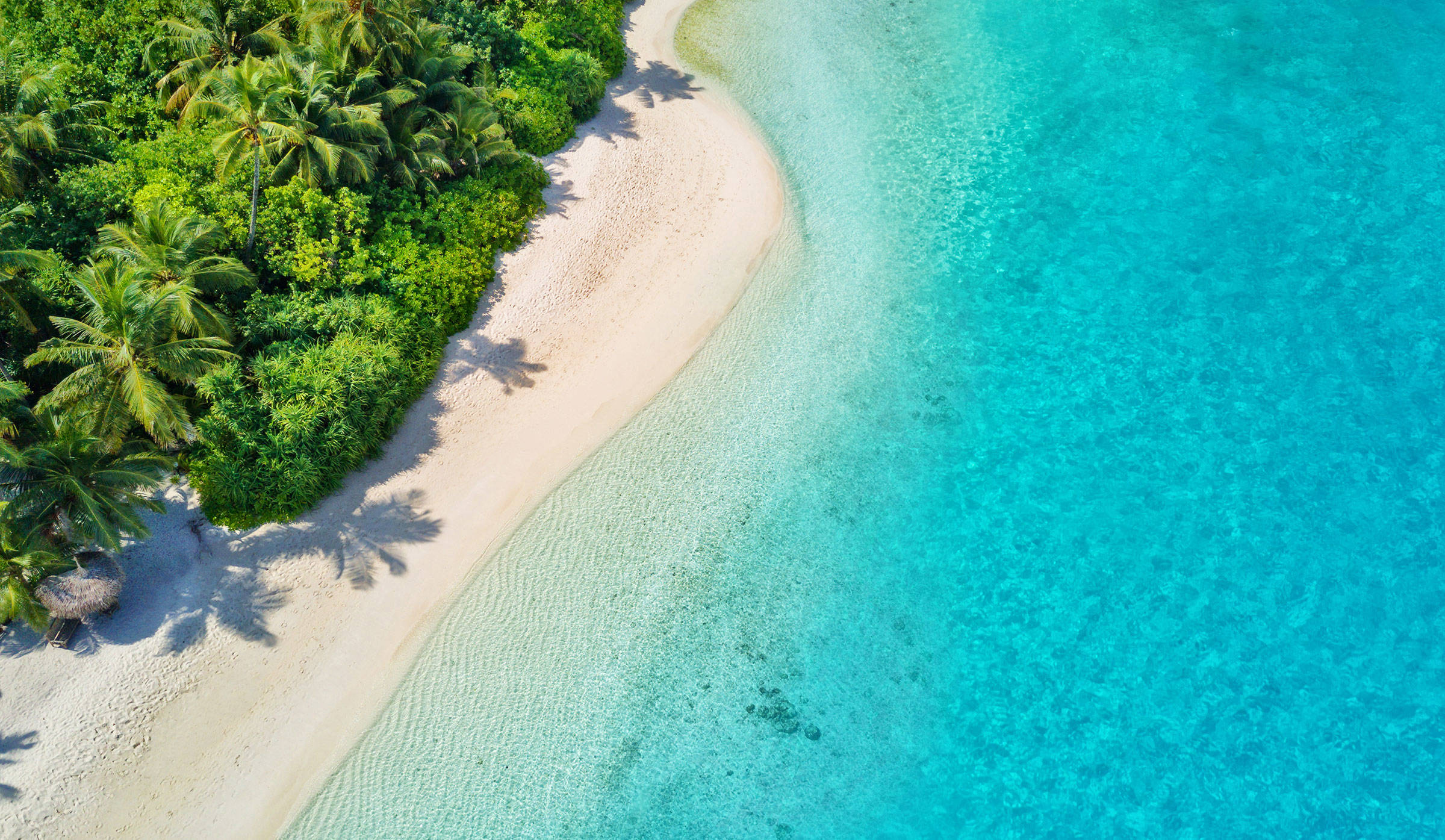 Maldives Aerial Beach