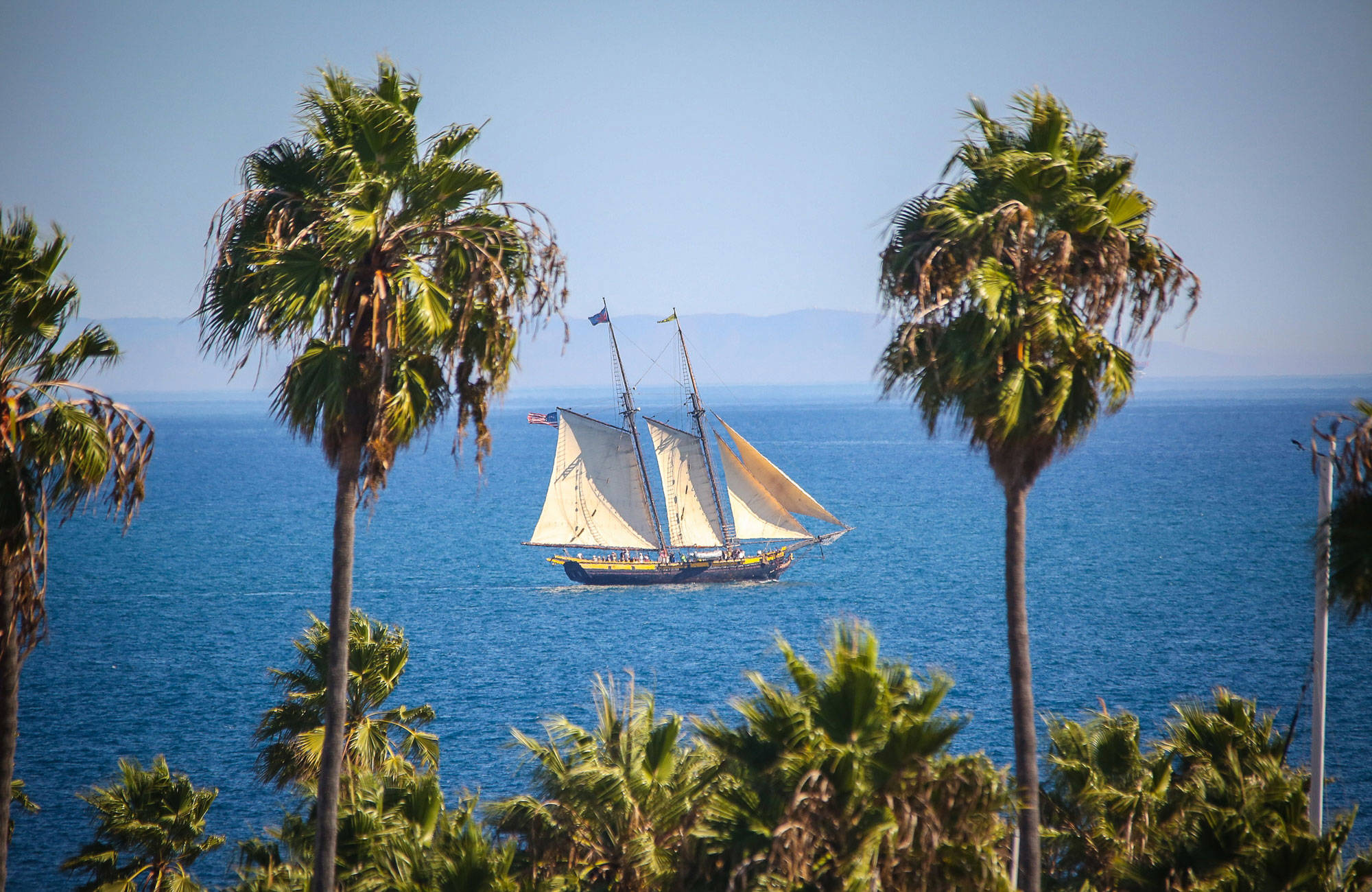 Sailboat At Santa Barbara City College Usa