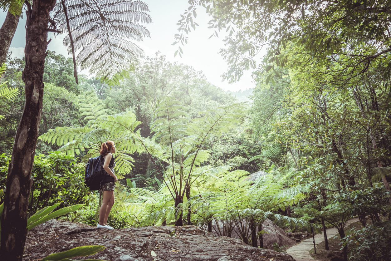 Eaaabe36 2Cf5 4Dc5 B387 73Cbb89dd45f