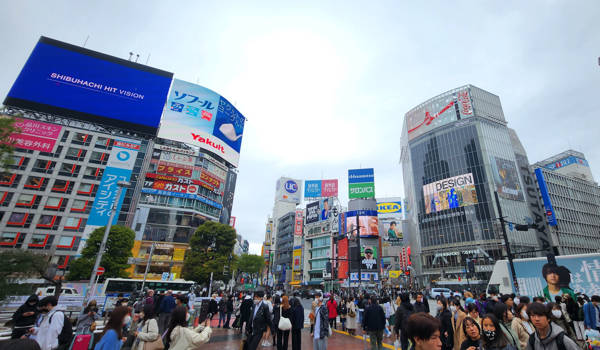 Shibuya Crossing In Shibuya, Tokyo