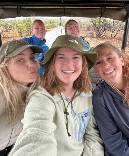 En leopard som hänger i ett träd under safari i Afrika.