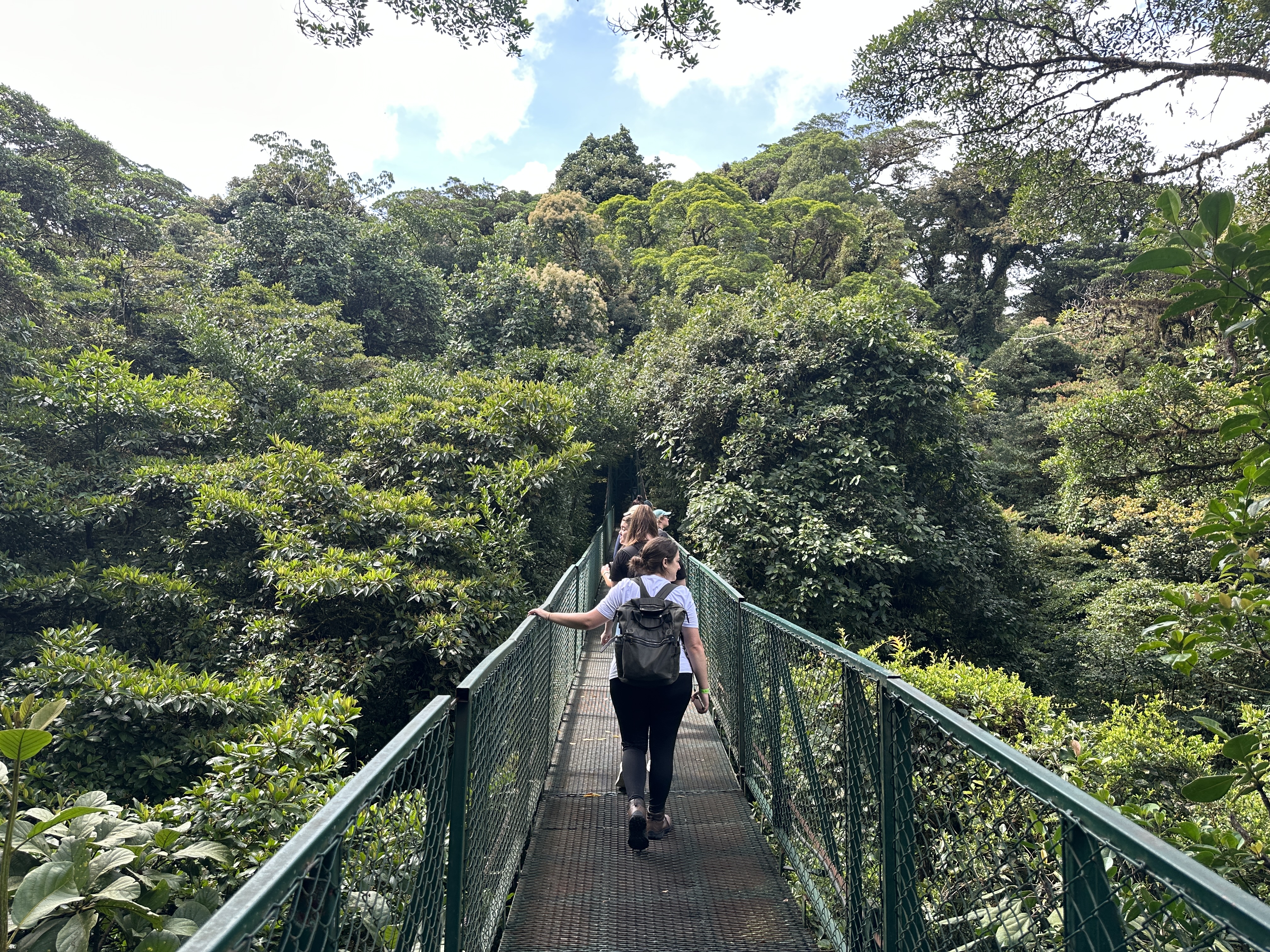Upplev Monteverde, Costa Rica:  Din Ultimata Guide till Molnskogen - KILROY