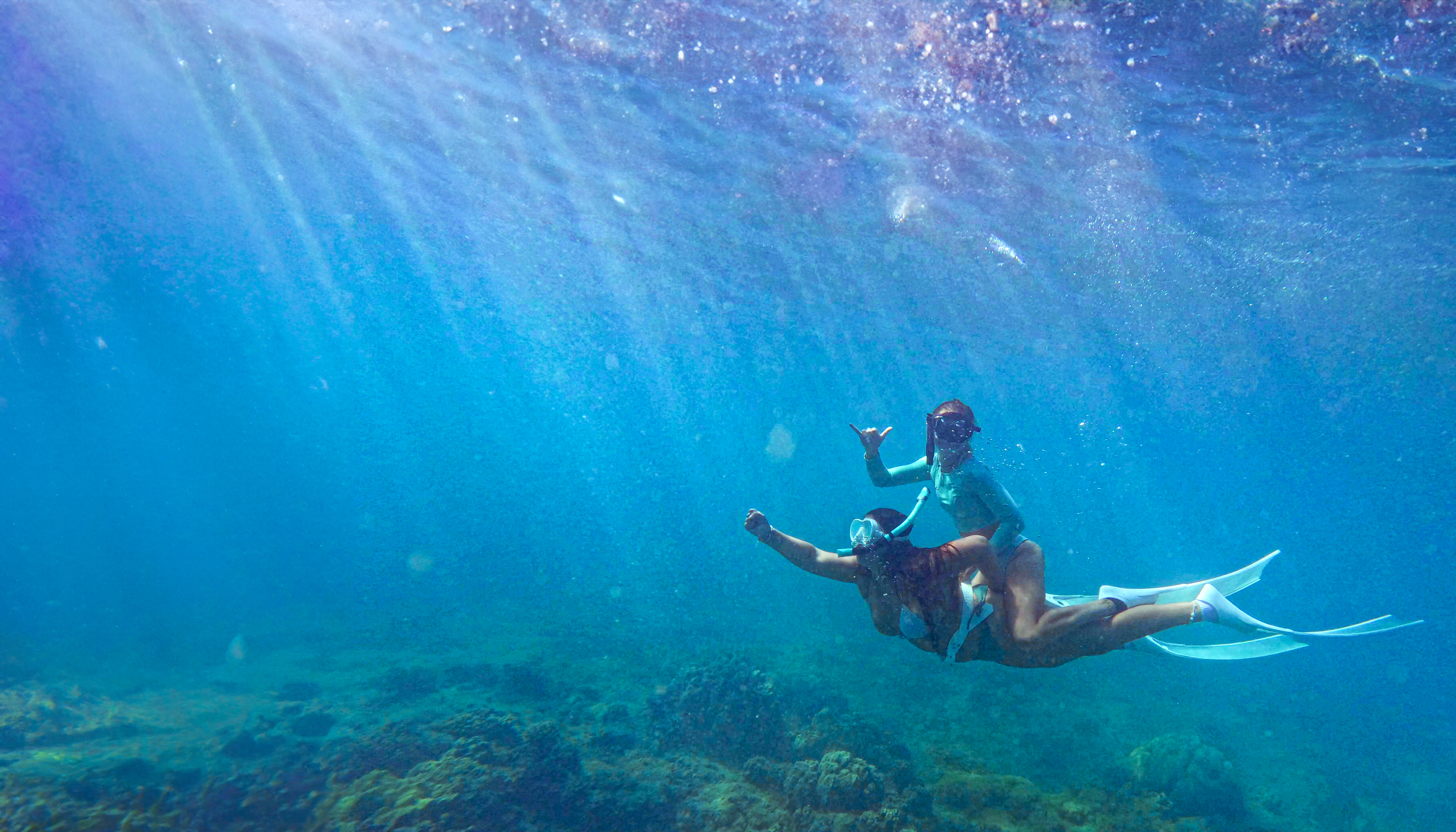 Microsoftteams Image (9)