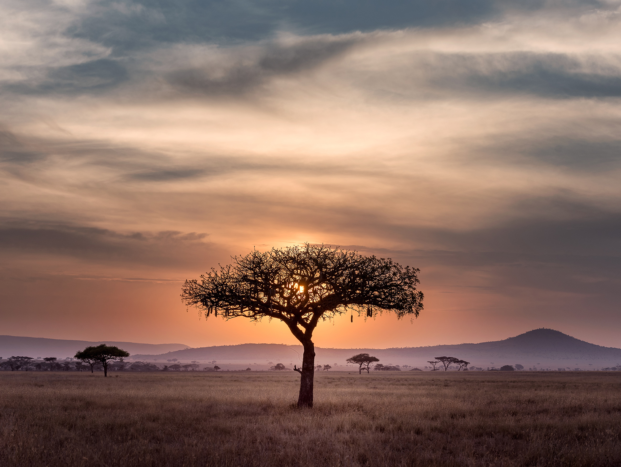 solnedgång över serengeti i tanzania