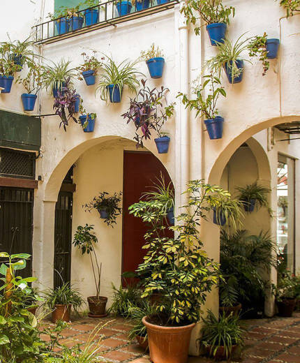 Kombinera studierna med vacker arkitektur i Marbella