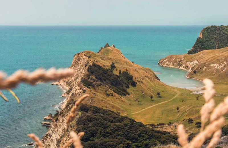 Green cliffs and a bright blue ocean on North Island in New Zealand