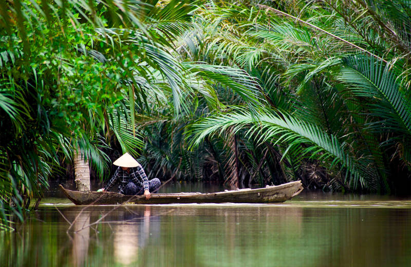natur i vietnam