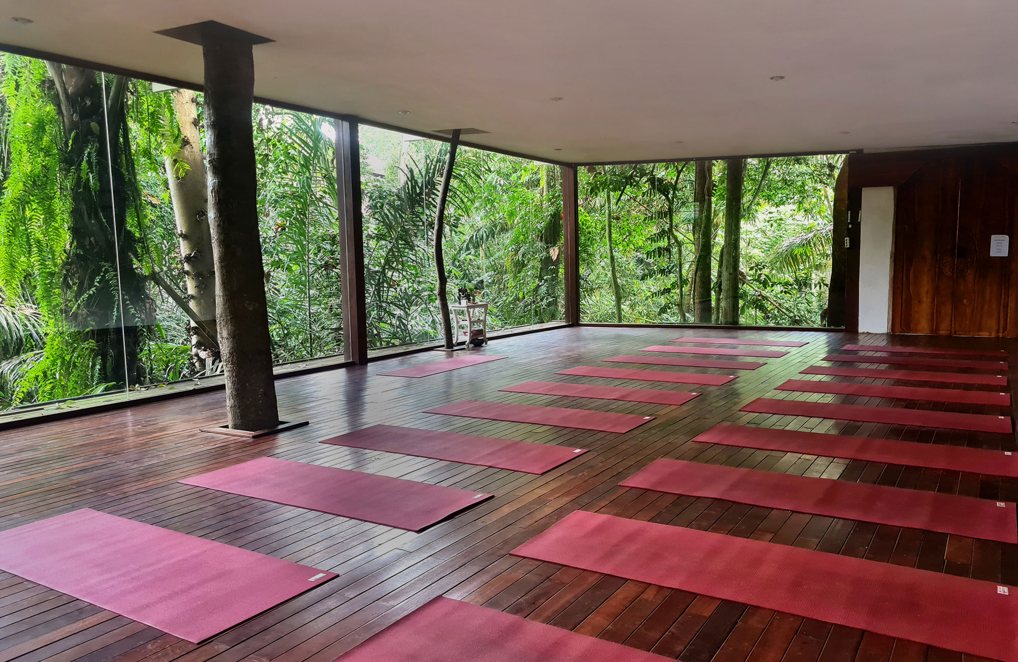 Radiantly Alive Yoga Ubud Bali Jungle Shala (8)