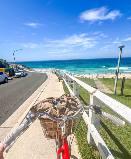 Boka in dig på helt kostnadsfri studievägledning och studierådgivning