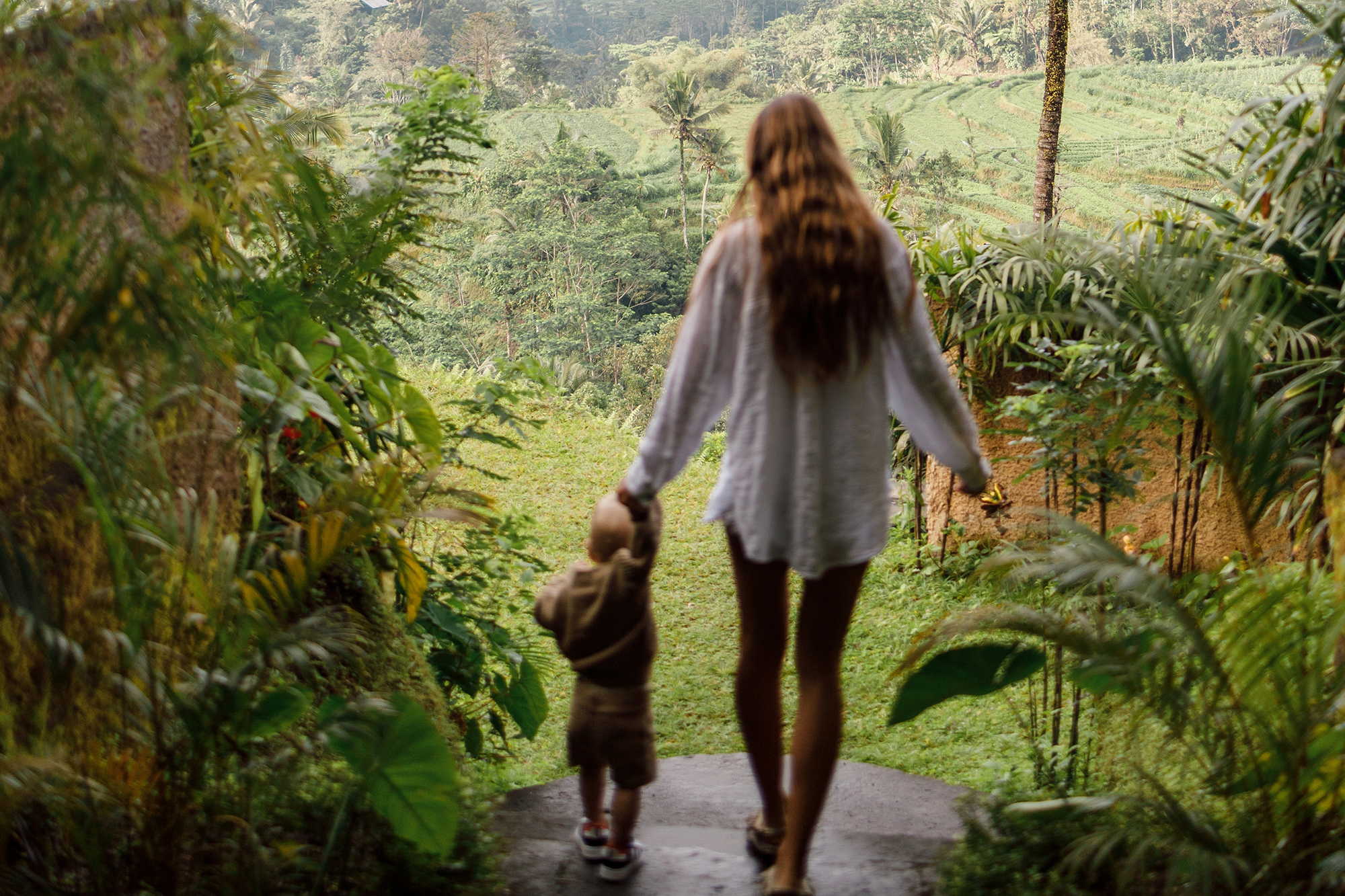 Horizontal Shutterstock 2220376595