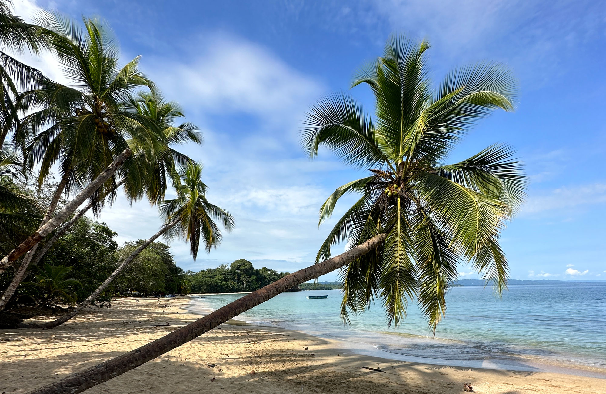 Resor till Santa Teresa, Costa Rica med KILROY