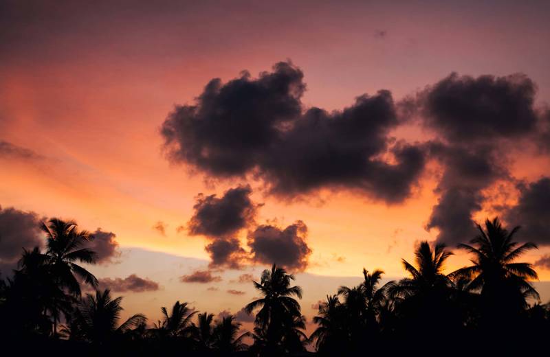 sri-lanka-nightsky-sunset-palmtrees-cover