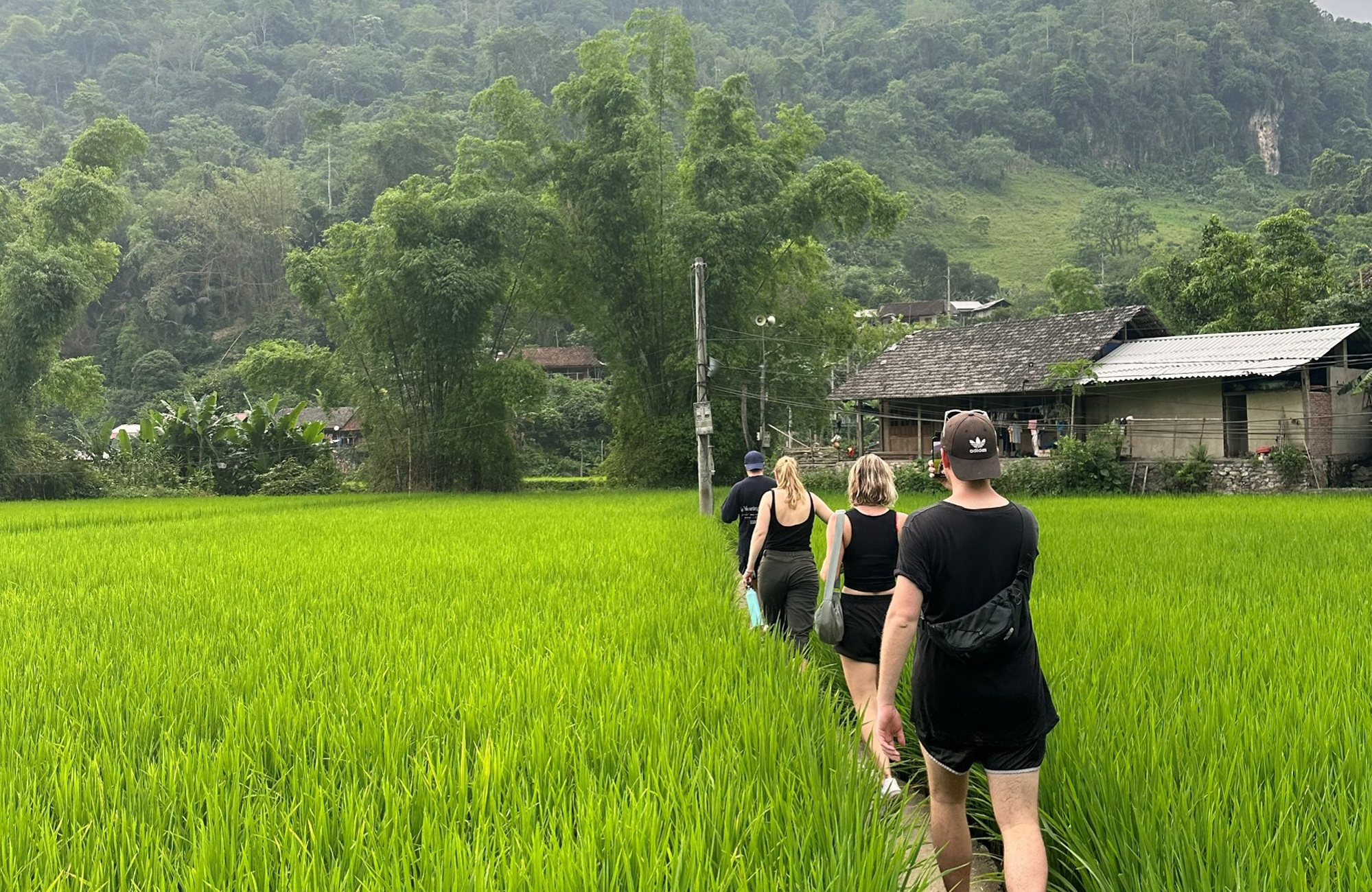 Upptäck Norra Vietnam