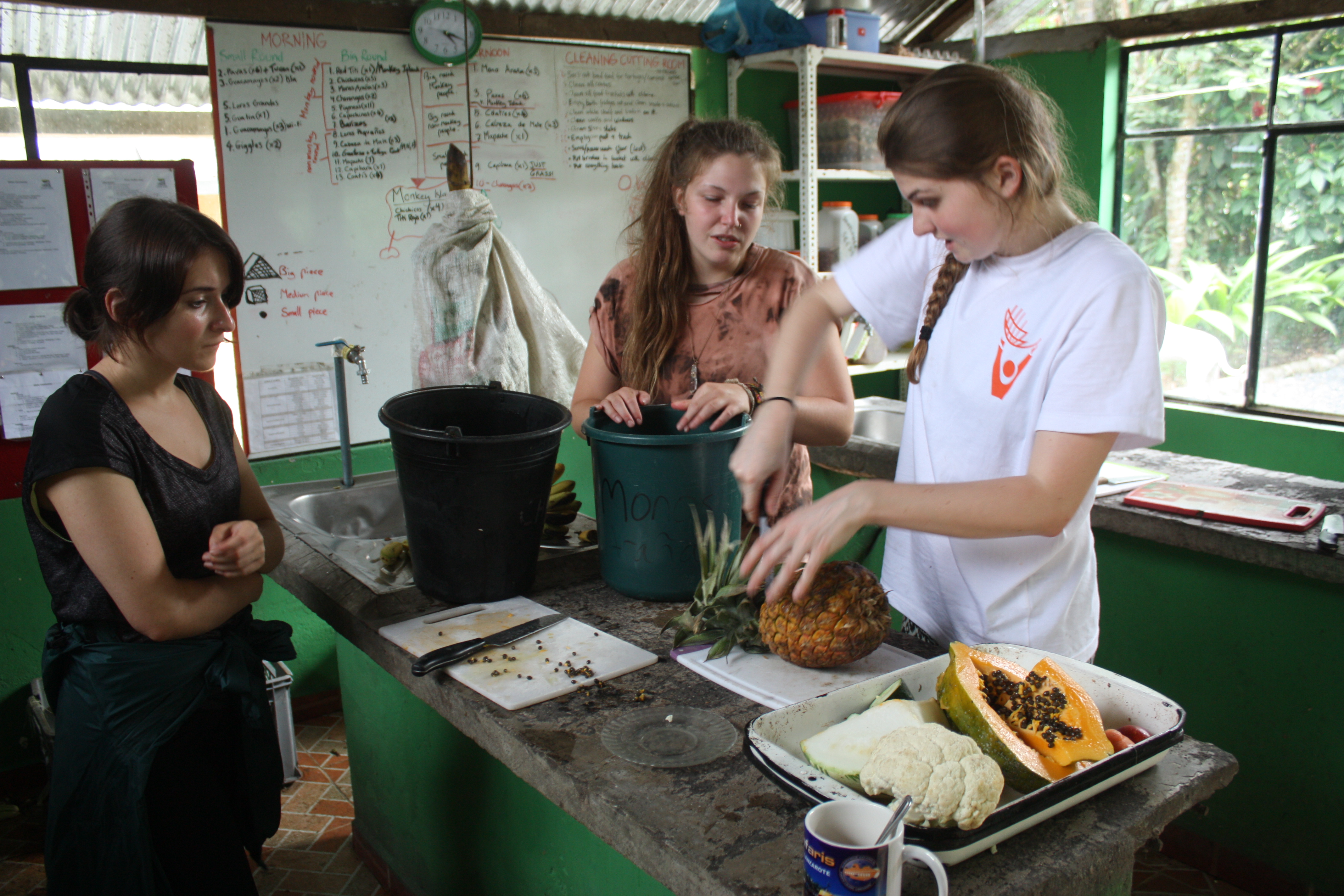 Amazon Animal Rescue Centre (27)