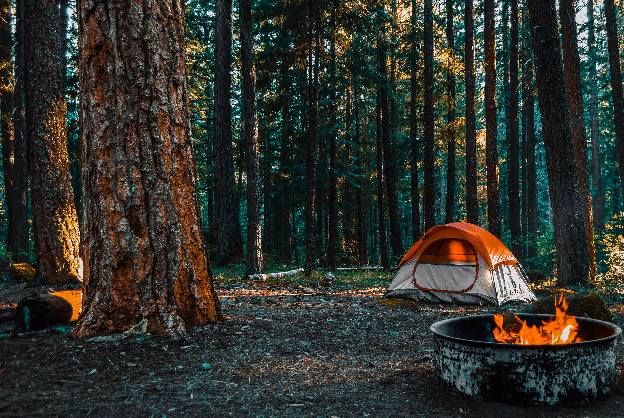Shenandoah National Park Camping