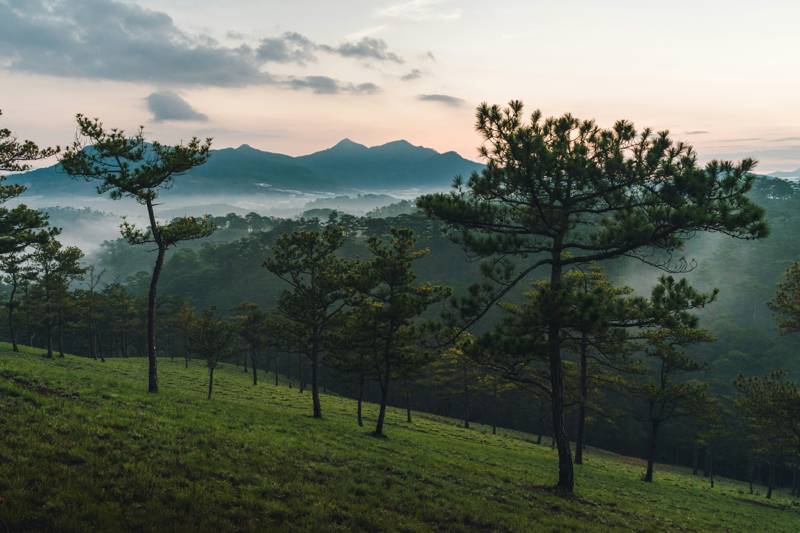 berg i da lat vietnam