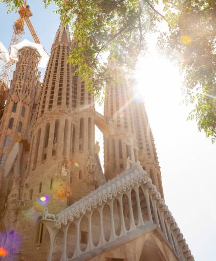 Duncan Kidd Ryk4wkuywlq Unsplash