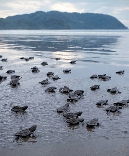 Volontärarbete i Centralamerika med KILROY