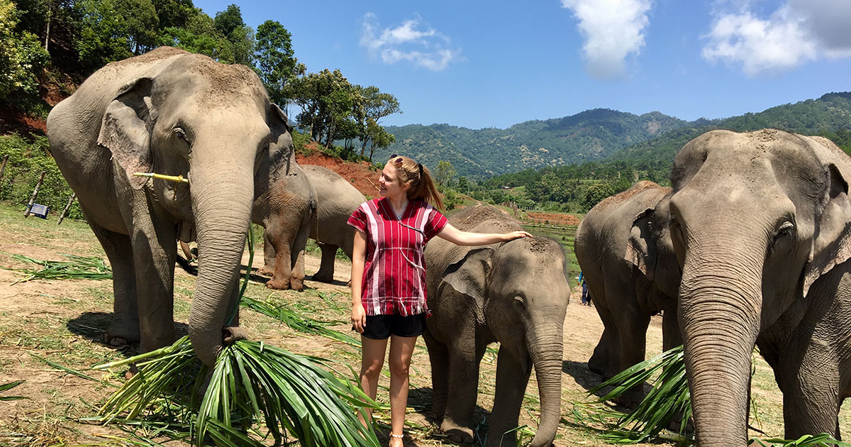 Pela Elefanter I Chiang Mai Hos Lokal Familie