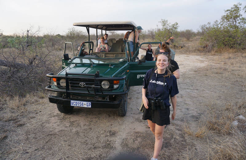 safari singelresa